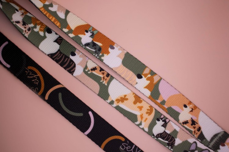 kolorowa smycz przepinana w corgi