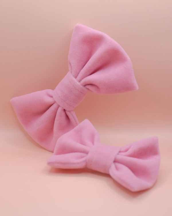 IMG_2626.jpg